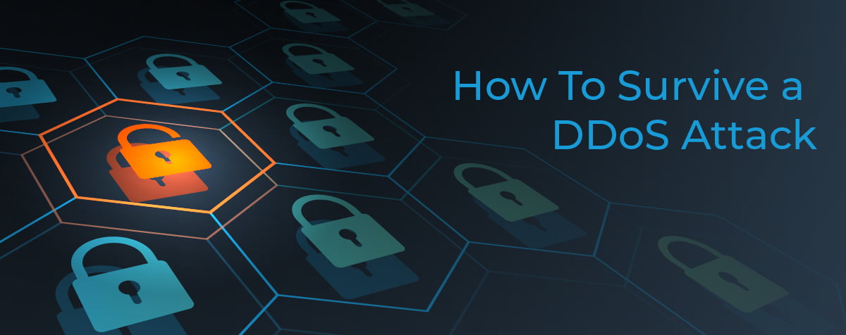 How To Survive a DDoS Attack