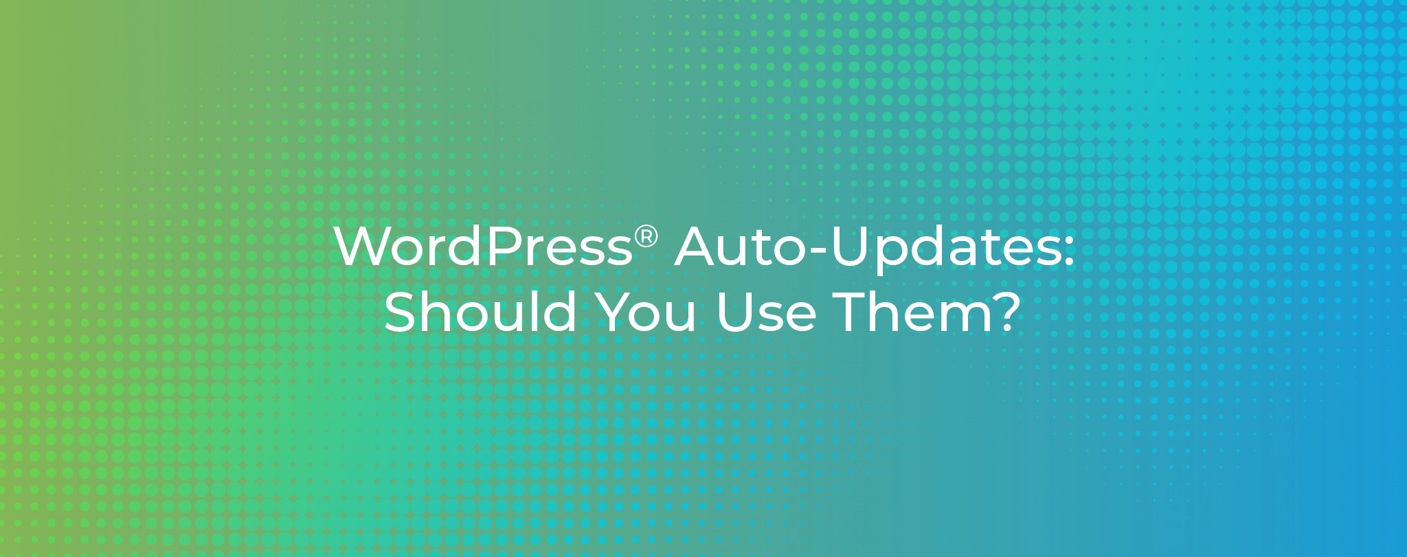 WordPress Auto Updates Should You Use Them